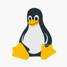 Linux_logo.JPG